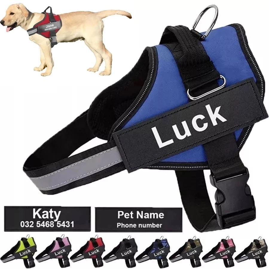 Dog harness with 2024 name and phone number