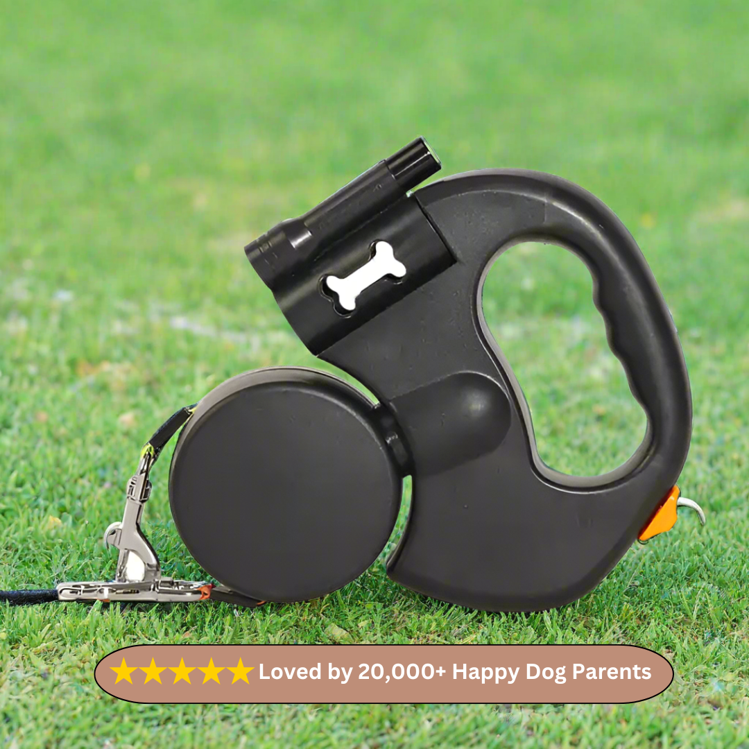 DuoGlide 360° Dog Leash by Everyday Paws