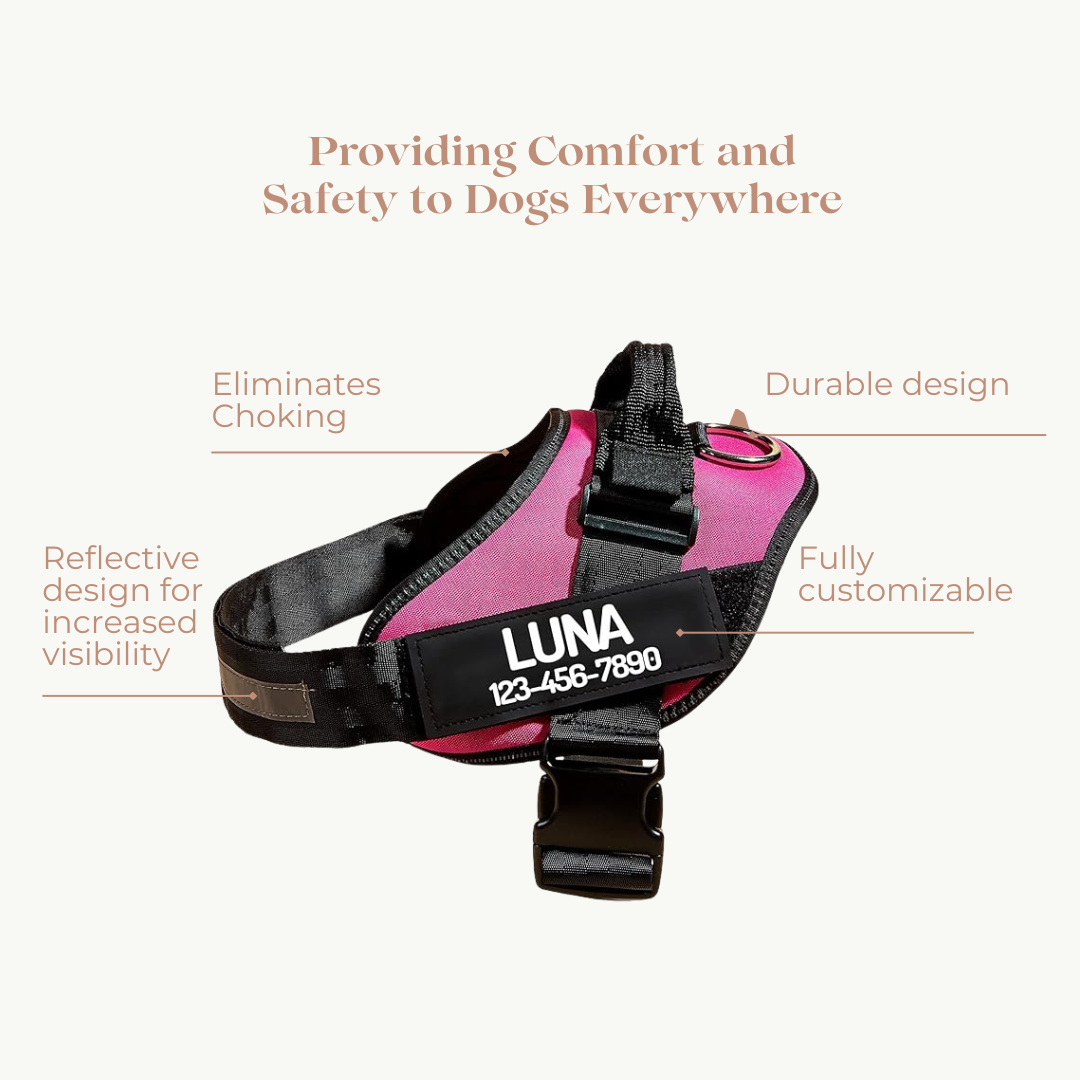 Personalized NO PULL Dog Harness