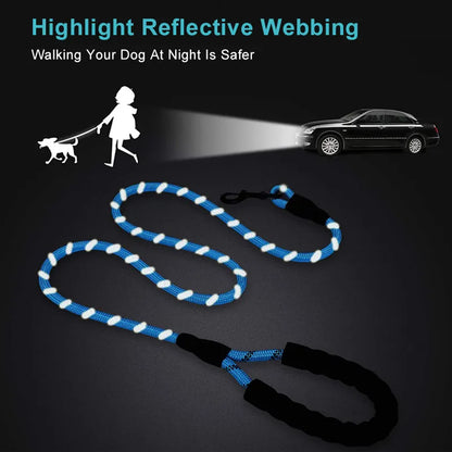 Heavy Duty Nylon Reflective Dog Leash by EverydayPaws