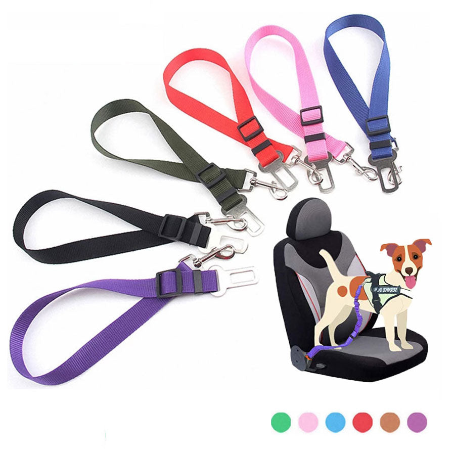 Dog Seat Belt