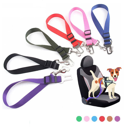 Dog Seat Belt