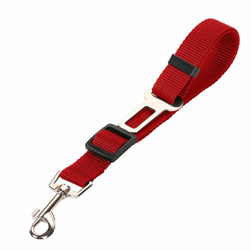 Dog Seat Belt