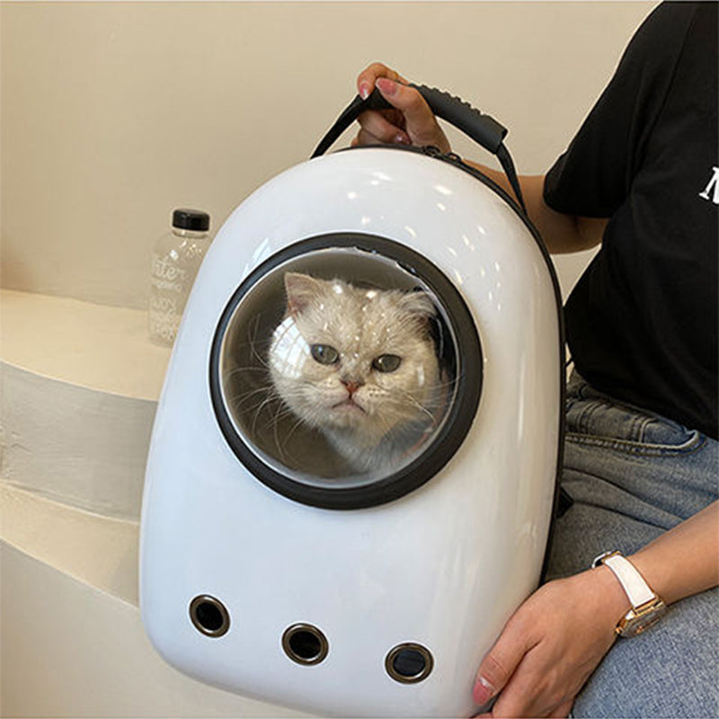 Cat Capsule Backpack