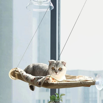 Cat Hanging Hammock